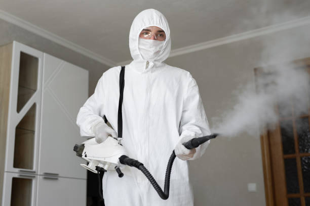 Mold Removal for HVAC Installations in Bystrom, CA